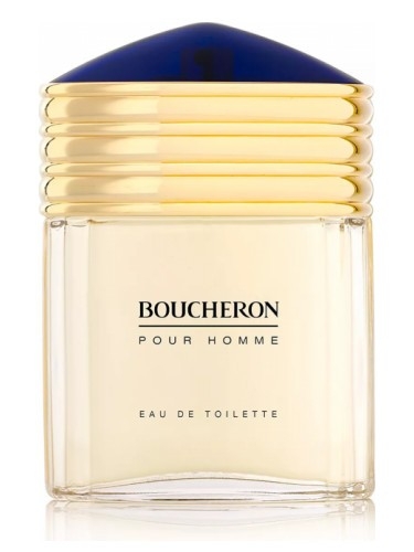 Boucheron Pour Homme M edt 100ml tstr